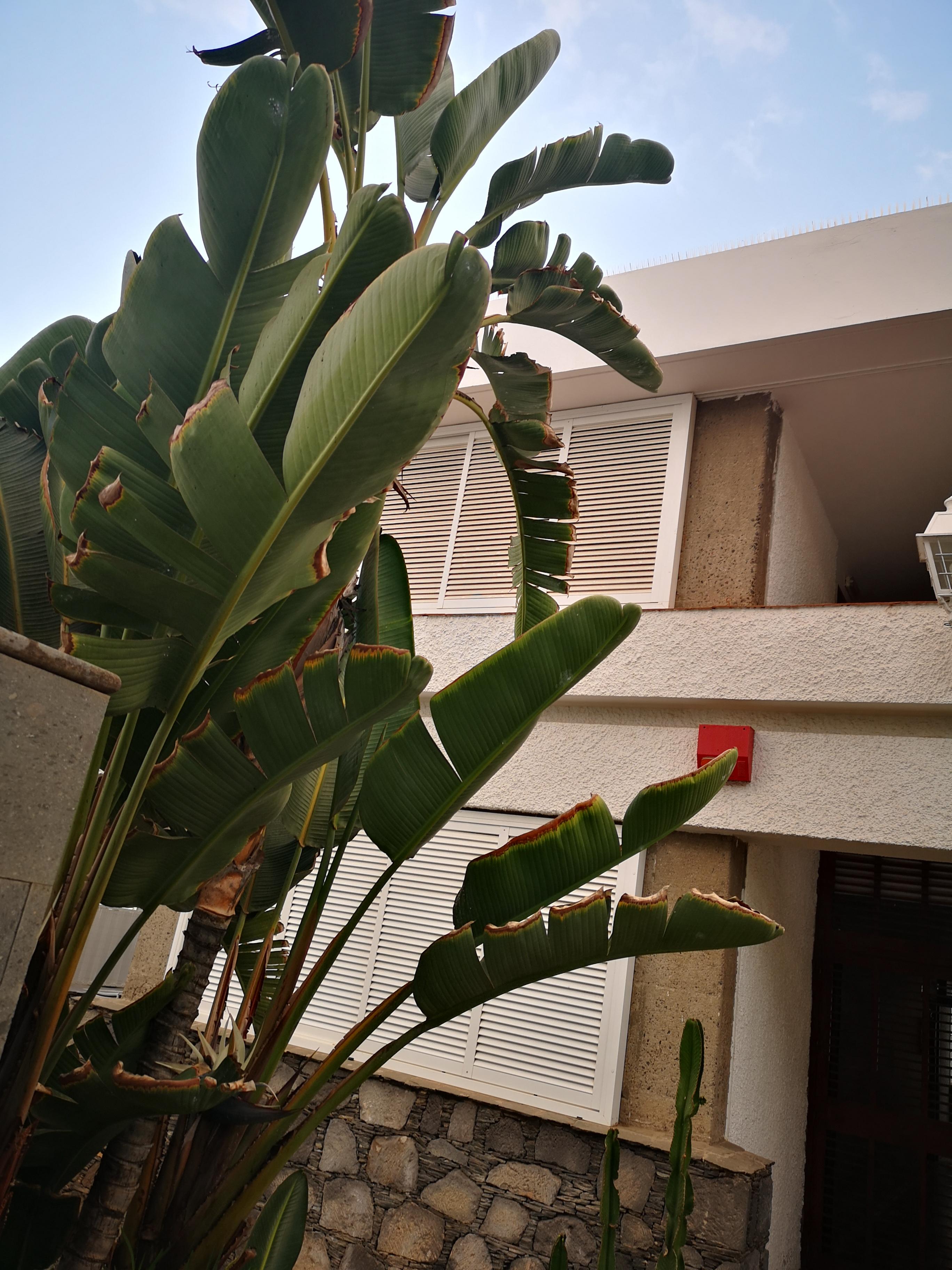 Apartamentos Tamara Maspalomas  Exterior photo